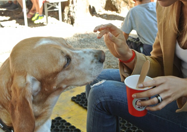 FAST GOOD…FAST HAPPINESS!