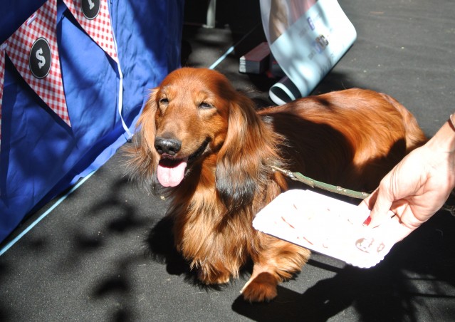 FAST GOOD…FAST HAPPINESS!