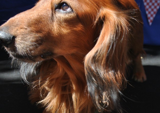 FAST GOOD…FAST HAPPINESS!