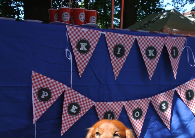 FAST GOOD…FAST HAPPINESS!