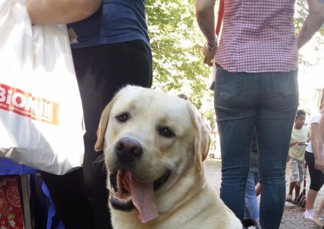 FAST GOOD…FAST HAPPINESS!