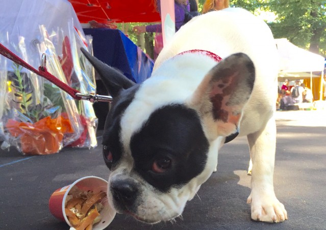 FAST GOOD…FAST HAPPINESS!