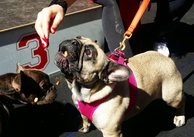 FAST GOOD…FAST HAPPINESS!