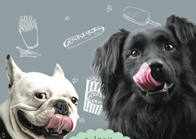 FAST GOOD, il primo fast food per cani buono e genuino!