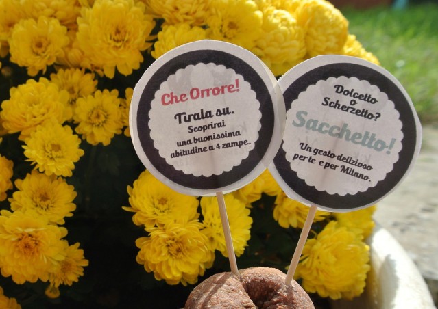 HALLOWEEN CAKKE, l’educazione civica a 4 zampe… ora è più dolce!
