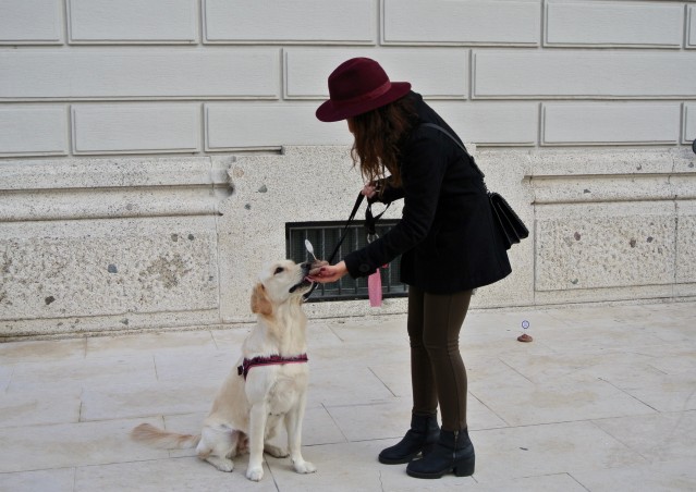 DOLCETTO O SCHERZETTO? SACCHETTO! La dog guerrilla di Kiki Pelosi per Milano.