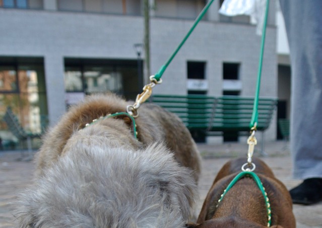 DOLCETTO O SCHERZETTO? SACCHETTO! La dog guerrilla di Kiki Pelosi per Milano.