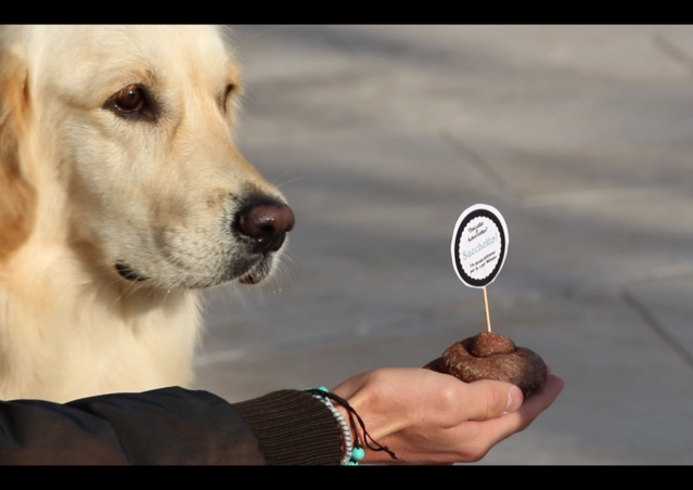 DOLCETTO O SCHERZETTO? SACCHETTO! La dog guerrilla di Kiki Pelosi per Milano.
