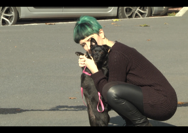 DOLCETTO O SCHERZETTO? SACCHETTO! La dog guerrilla di Kiki Pelosi per Milano.