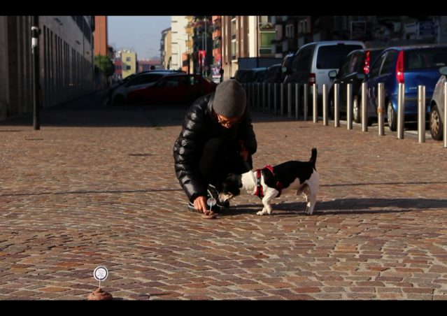 DOLCETTO O SCHERZETTO? SACCHETTO! La dog guerrilla di Kiki Pelosi per Milano.