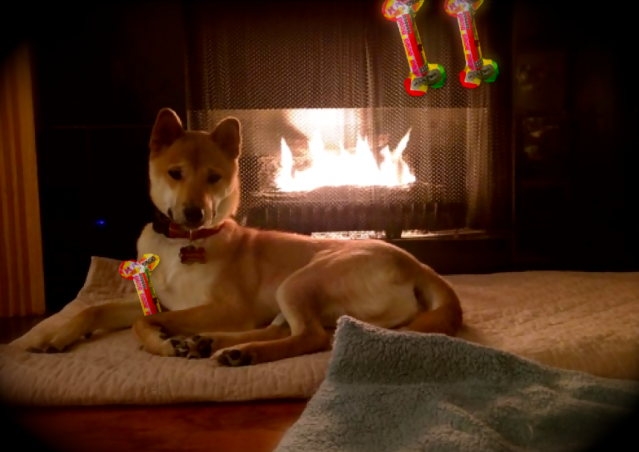 Le calze Pelose di Kiki per l’Epifania