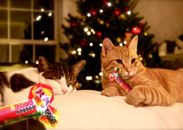 Le calze Pelose di Kiki per l’Epifania