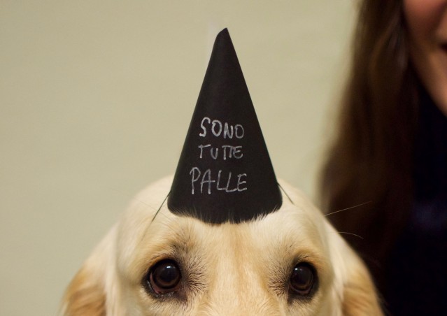 BUON 1° COMPLEANNO BAU CLUB