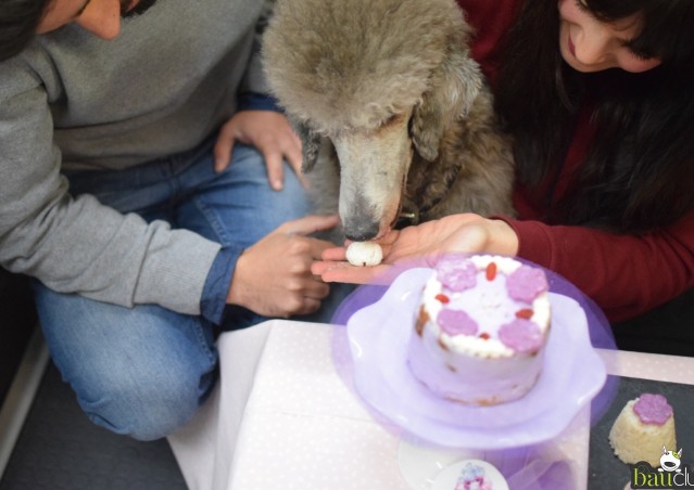 BUON COMPLEANNO DAFNE!