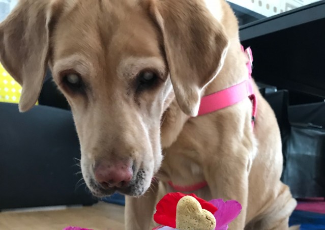 Buon San Valentino Cioè!!!