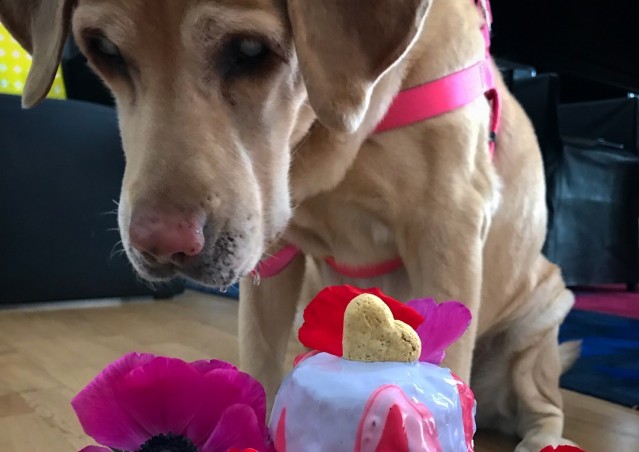 Buon San Valentino Cioè!!!