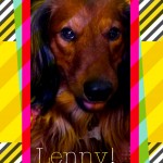 Lenny cool card