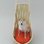 casa mobile a 4 ruote per uno shiba di Toyo Ito