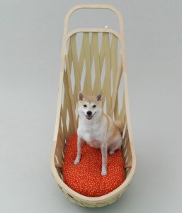 casa mobile a 4 ruote per uno shiba di Toyo Ito