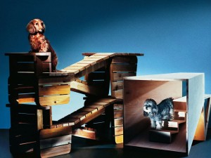 architecture for dogs' concept by atelier bow-wow for a dachshund