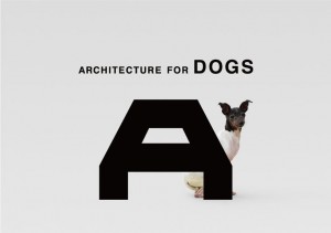 Architecture for dogs