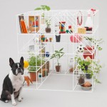 home for Boston terrier by sou fujimoto