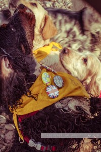 dogsavethequeen025