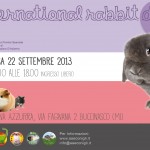 RabbitDay2013_A4_300dpi